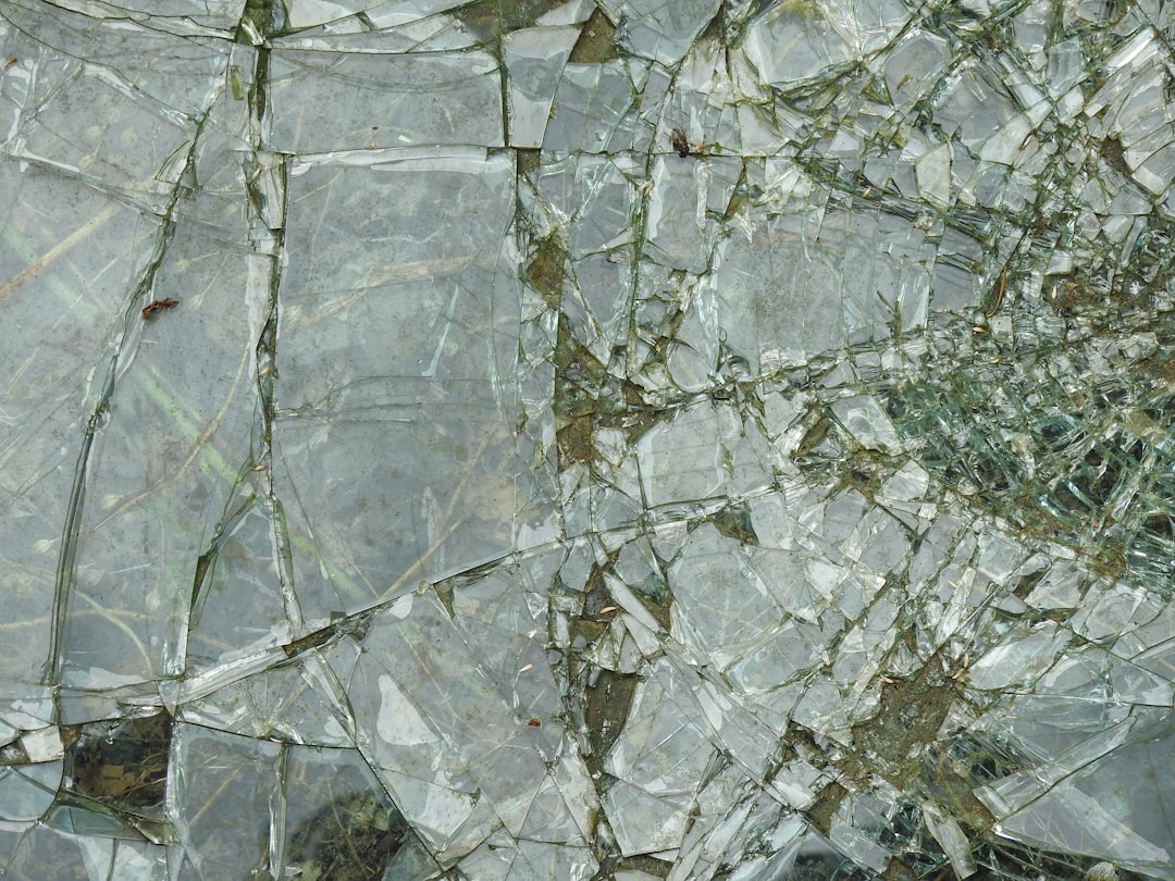 Tempered Glass Screen Protector
